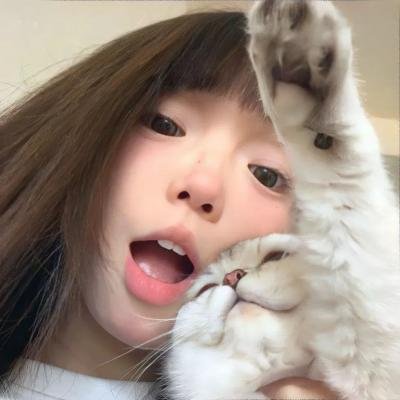 星星守护犬